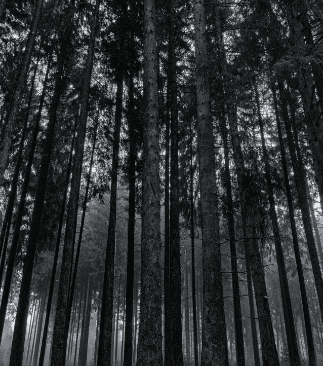 MB Capital Partners - Website - Website (3)